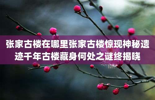 张家古楼在哪里张家古楼惊现神秘遗迹千年古楼藏身何处之谜终揭晓