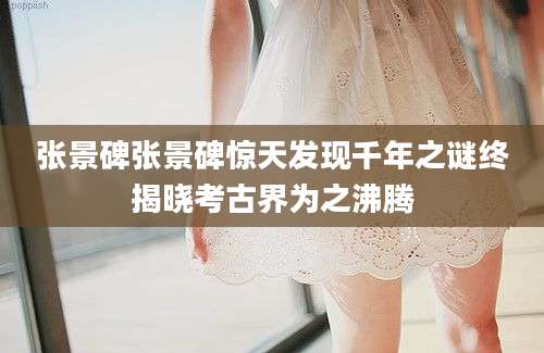 张景碑张景碑惊天发现千年之谜终揭晓考古界为之沸腾