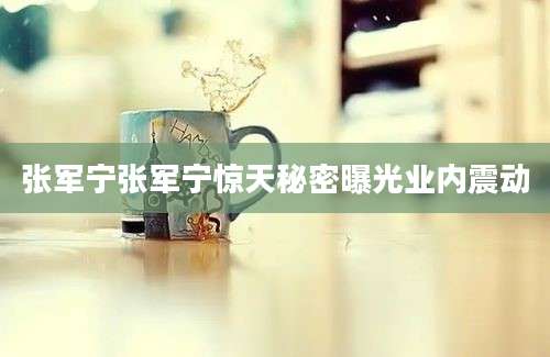 张军宁张军宁惊天秘密曝光业内震动