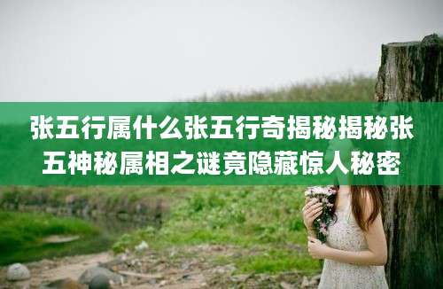 张五行属什么张五行奇揭秘揭秘张五神秘属相之谜竟隐藏惊人秘密