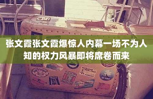 张文霞张文霞爆惊人内幕一场不为人知的权力风暴即将席卷而来