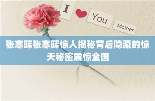 张寒晖张寒晖惊人揭秘背后隐藏的惊天秘密震惊全国