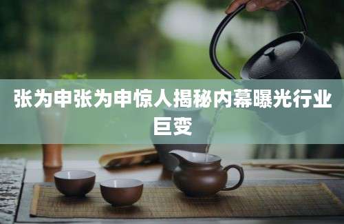 张为申张为申惊人揭秘内幕曝光行业巨变