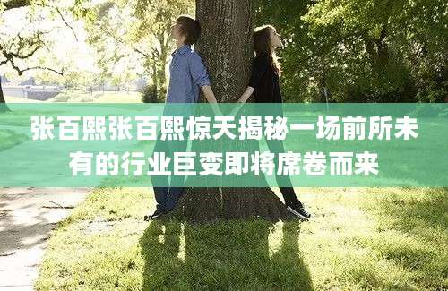 张百熙张百熙惊天揭秘一场前所未有的行业巨变即将席卷而来
