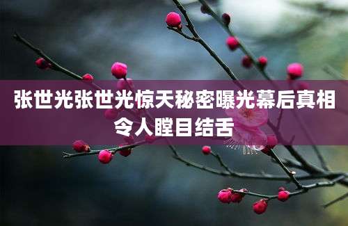 张世光张世光惊天秘密曝光幕后真相令人瞠目结舌