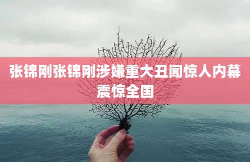 张锦刚张锦刚涉嫌重大丑闻惊人内幕震惊全国