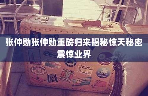 张仲勋张仲勋重磅归来揭秘惊天秘密震惊业界