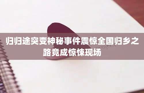 归归途突变神秘事件震惊全国归乡之路竟成惊悚现场