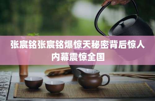 张宸铭张宸铭爆惊天秘密背后惊人内幕震惊全国