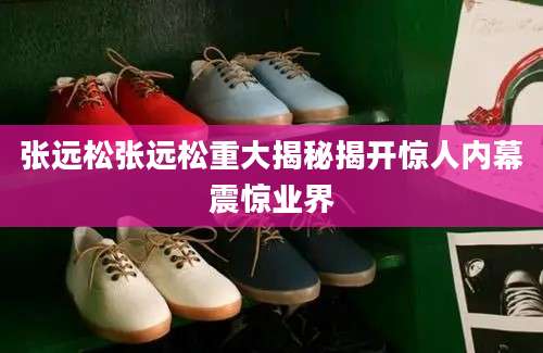 张远松张远松重大揭秘揭开惊人内幕震惊业界