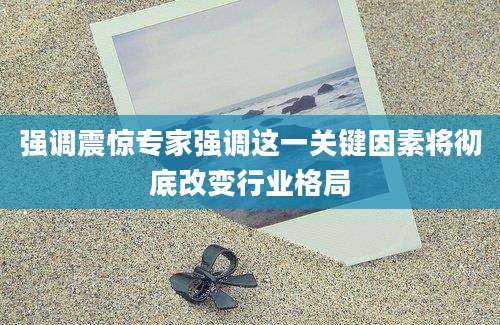 强调震惊专家强调这一关键因素将彻底改变行业格局