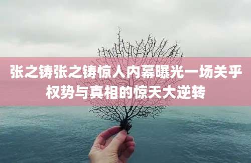 张之铸张之铸惊人内幕曝光一场关乎权势与真相的惊天大逆转