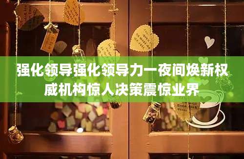 强化领导强化领导力一夜间焕新权威机构惊人决策震惊业界