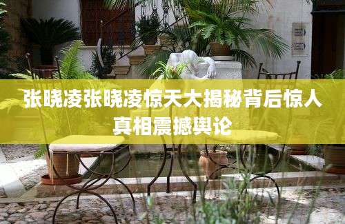 张晓凌张晓凌惊天大揭秘背后惊人真相震撼舆论