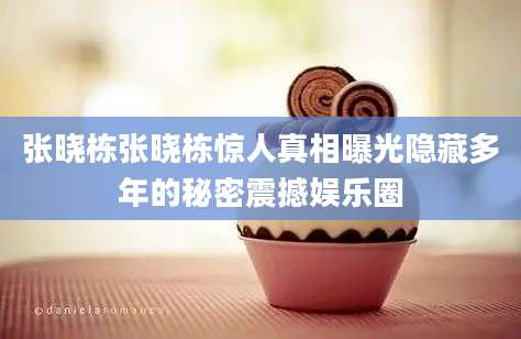 张晓栋张晓栋惊人真相曝光隐藏多年的秘密震撼娱乐圈