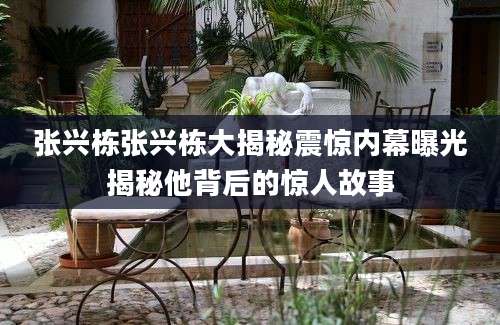 张兴栋张兴栋大揭秘震惊内幕曝光揭秘他背后的惊人故事