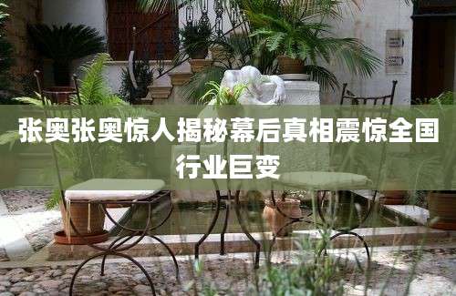 张奥张奥惊人揭秘幕后真相震惊全国行业巨变