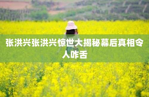 张洪兴张洪兴惊世大揭秘幕后真相令人咋舌