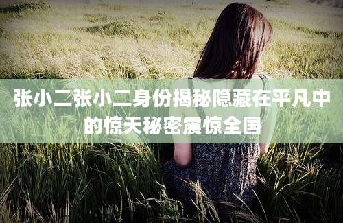 张小二张小二身份揭秘隐藏在平凡中的惊天秘密震惊全国