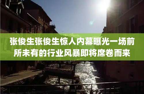 张俊生张俊生惊人内幕曝光一场前所未有的行业风暴即将席卷而来