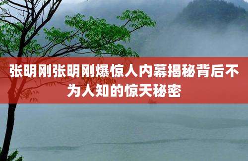 张明刚张明刚爆惊人内幕揭秘背后不为人知的惊天秘密