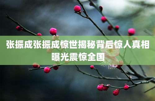 张振成张振成惊世揭秘背后惊人真相曝光震惊全国