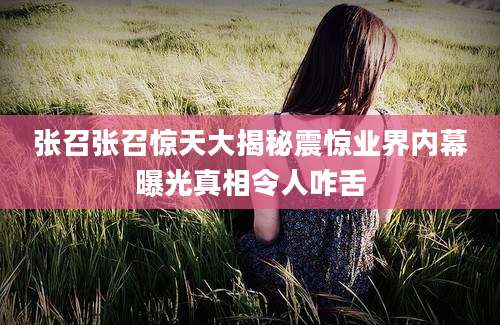 张召张召惊天大揭秘震惊业界内幕曝光真相令人咋舌