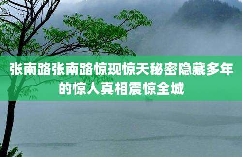 张南路张南路惊现惊天秘密隐藏多年的惊人真相震惊全城