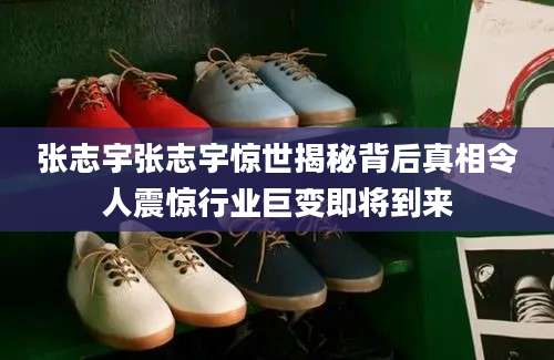张志宇张志宇惊世揭秘背后真相令人震惊行业巨变即将到来