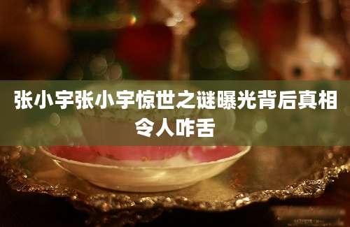 张小宇张小宇惊世之谜曝光背后真相令人咋舌