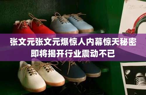 张文元张文元爆惊人内幕惊天秘密即将揭开行业震动不已