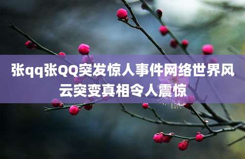 张qq张QQ突发惊人事件网络世界风云突变真相令人震惊