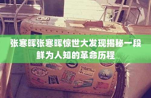 张寒晖张寒晖惊世大发现揭秘一段鲜为人知的革命历程