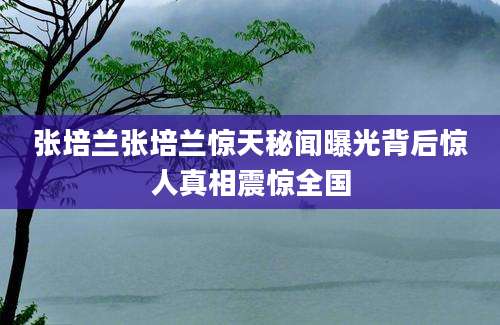 张培兰张培兰惊天秘闻曝光背后惊人真相震惊全国