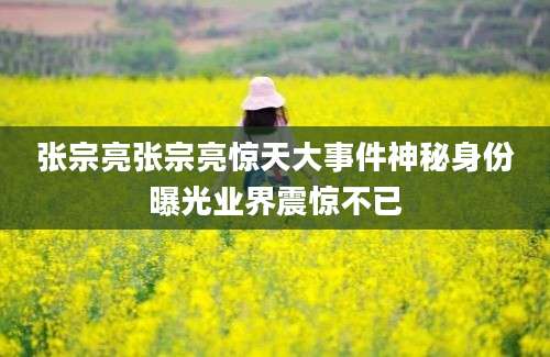 张宗亮张宗亮惊天大事件神秘身份曝光业界震惊不已