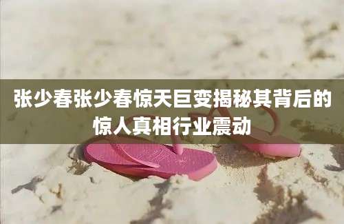 张少春张少春惊天巨变揭秘其背后的惊人真相行业震动