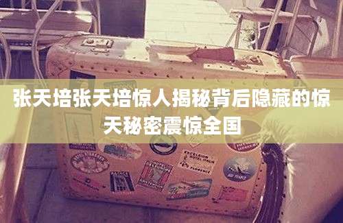 张天培张天培惊人揭秘背后隐藏的惊天秘密震惊全国