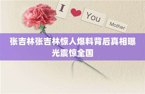 张吉林张吉林惊人爆料背后真相曝光震惊全国
