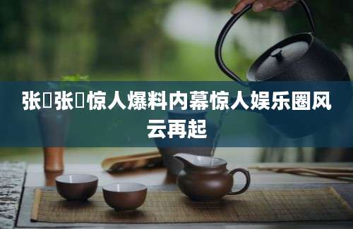 张珪张珪惊人爆料内幕惊人娱乐圈风云再起