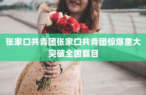 张家口共青团张家口共青团惊爆重大突破全国瞩目
