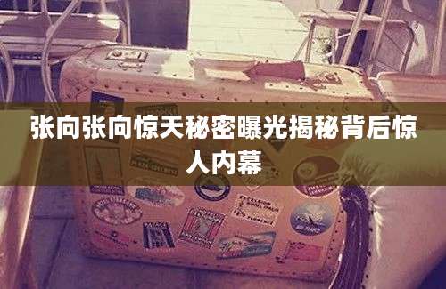 张向张向惊天秘密曝光揭秘背后惊人内幕