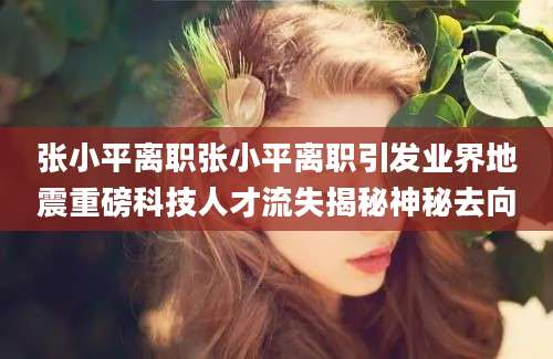 张小平离职张小平离职引发业界地震重磅科技人才流失揭秘神秘去向