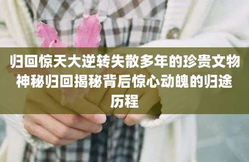 归回惊天大逆转失散多年的珍贵文物神秘归回揭秘背后惊心动魄的归途历程