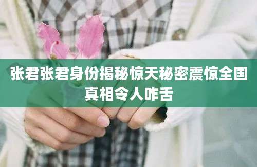 张君张君身份揭秘惊天秘密震惊全国真相令人咋舌