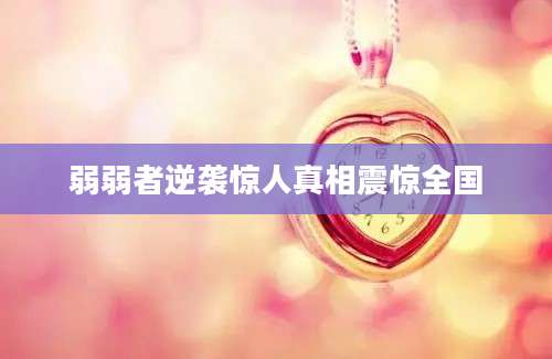 弱弱者逆袭惊人真相震惊全国
