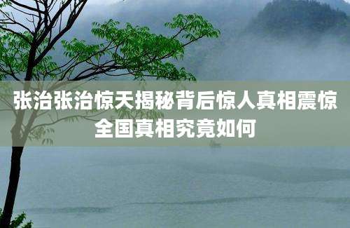 张治张治惊天揭秘背后惊人真相震惊全国真相究竟如何