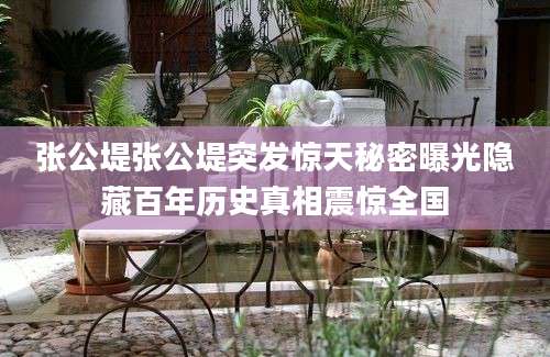 张公堤张公堤突发惊天秘密曝光隐藏百年历史真相震惊全国