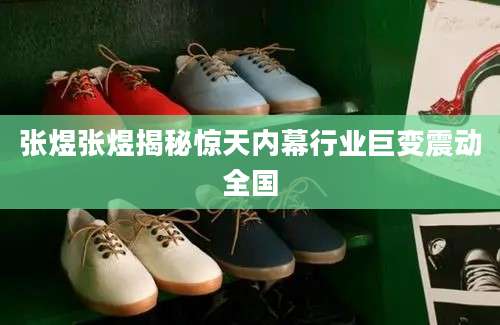 张煜张煜揭秘惊天内幕行业巨变震动全国
