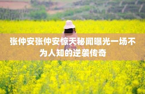 张仲安张仲安惊天秘闻曝光一场不为人知的逆袭传奇
