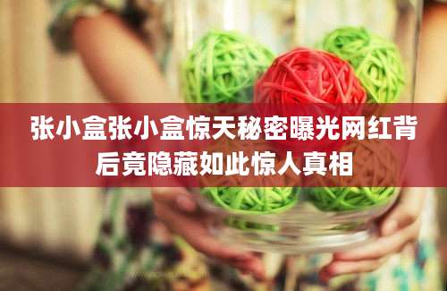 张小盒张小盒惊天秘密曝光网红背后竟隐藏如此惊人真相